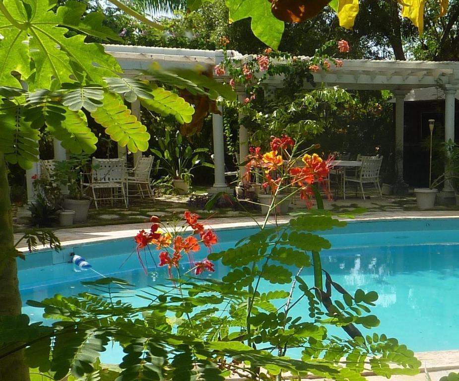 Motel Orchard Garden Nassau